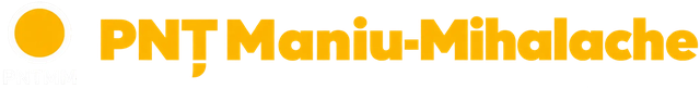 PNȚMM