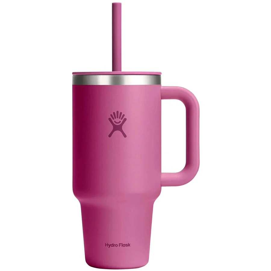 Hydro Flask Pahar Termos cu Pai si Maner All Around Travel TT32PSC677 Inox 95ML Reef Roz Inchis