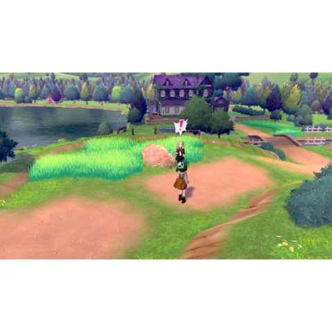 Nintendo Pokémon Shield, Switch