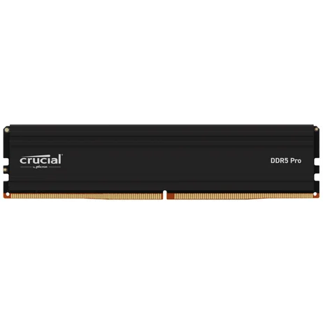 Crucial Memorie 48GB (1x48GB) DDR5 5600MHz